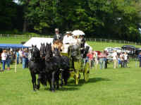 Click to view larger picture.

BDS Wales, 50th Anniversary Celebrations
Dinefwr Park 20 May_2007