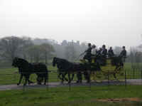 Click to view larger picture.

Dinefwr Castle provides a Mystical backdrop