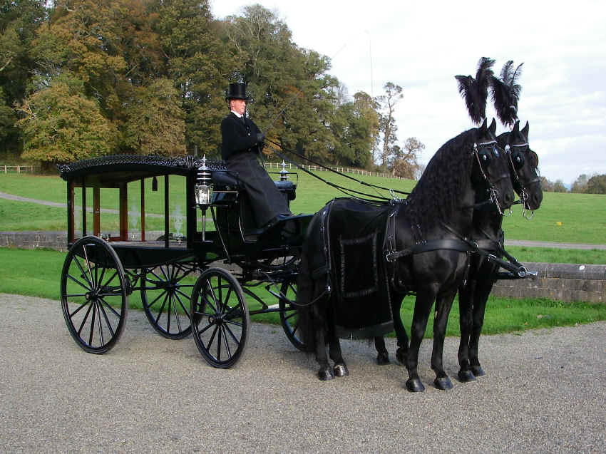 Original Marston Hearse & Friesian Stallions