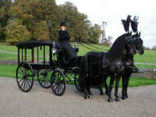 Click to select service.

Horse Drawn Funerals

Marston Hearse & Friesian Stallions, Ben & Sam