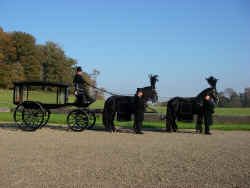 Click to view larger picture.

Four in Hand Team at Dinefwr