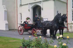 Click to view larger picture.

Bride & Groom arrive at the reception